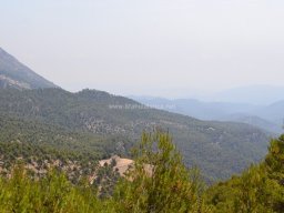 Valle de Leiva-Perdiz 2010